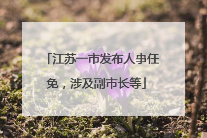江苏一市发布人事任免，涉及副市长等