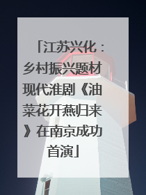 江苏兴化：乡村振兴题材现代淮剧《油菜花开燕归来》在南京成功首演