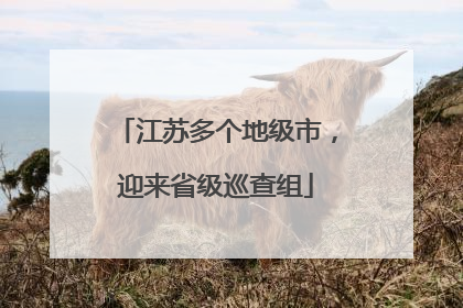江苏多个地级市，迎来省级巡查组