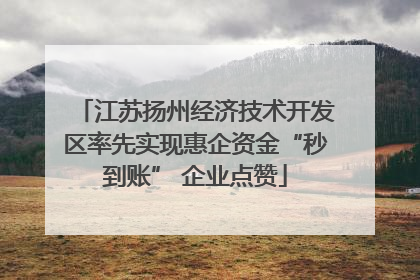 江苏扬州经济技术开发区率先实现惠企资金“秒到账” 企业点赞