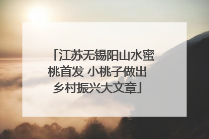 江苏无锡阳山水蜜桃首发 小桃子做出乡村振兴大文章