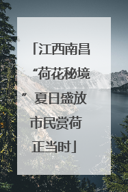 江西南昌“荷花秘境”夏日盛放 市民赏荷正当时
