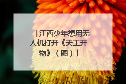 江西少年想用无人机打开《天工开物》（图）