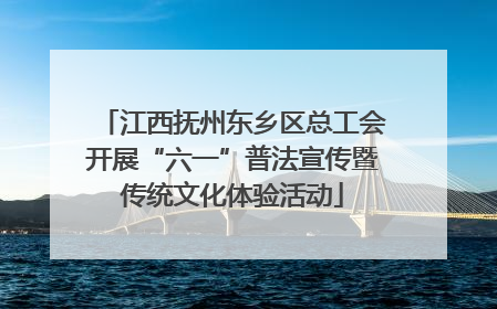 江西抚州东乡区总工会开展“六一”普法宣传暨传统文化体验活动