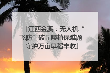 江西金溪：无人机“飞防”破丘陵植保难题 守护万亩早稻丰收