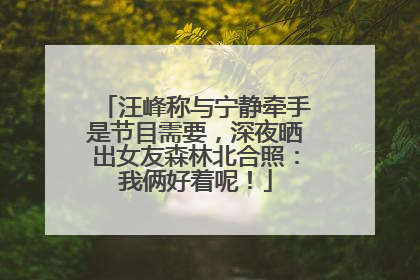 汪峰称与宁静牵手是节目需要，深夜晒出女友森林北合照：我俩好着呢！