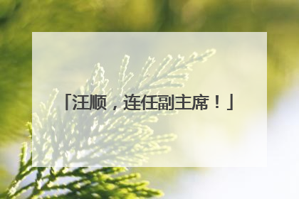 汪顺，连任副主席！