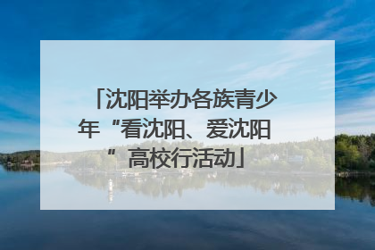 沈阳举办各族青少年“看沈阳、爱沈阳”高校行活动