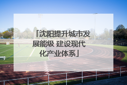 沈阳提升城市发展能级 建设现代化产业体系
