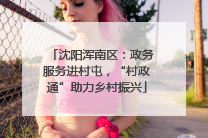 沈阳浑南区：政务服务进村屯，“村政通”助力乡村振兴