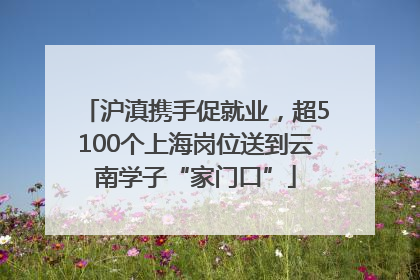 沪滇携手促就业，超5100个上海岗位送到云南学子“家门口”