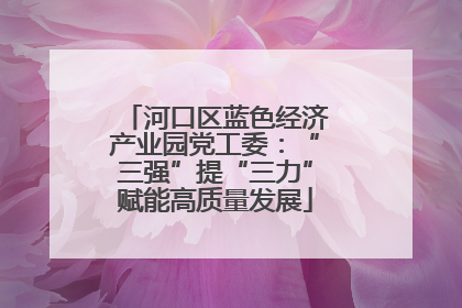 河口区蓝色经济产业园党工委：“三强”提“三力”赋能高质量发展