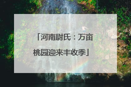 河南尉氏：万亩桃园迎来丰收季