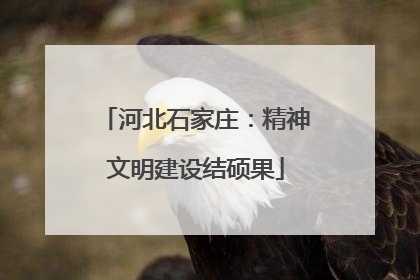河北石家庄：精神文明建设结硕果