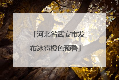 河北省武安市发布冰雹橙色预警
