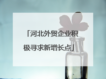 河北外贸企业积极寻求新增长点