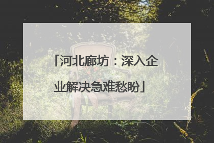 河北廊坊：深入企业解决急难愁盼