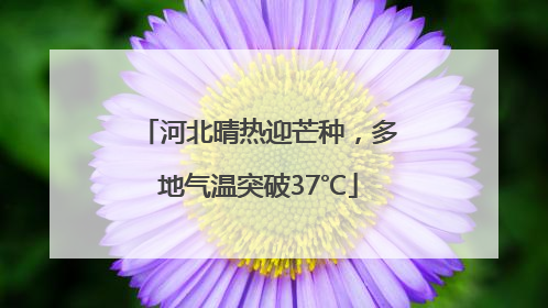 河北晴热迎芒种，多地气温突破37℃