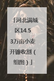 河北满城区14.53万亩小麦开镰收割（组图）