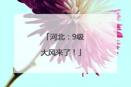 河北：9级大风来了！