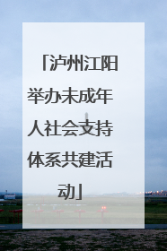 泸州江阳举办未成年人社会支持体系共建活动