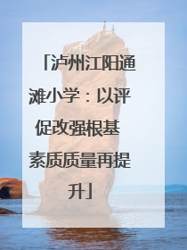 泸州江阳通滩小学：以评促改强根基 素质质量再提升