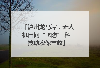 泸州龙马潭：无人机田间“飞防” 科技助农保丰收
