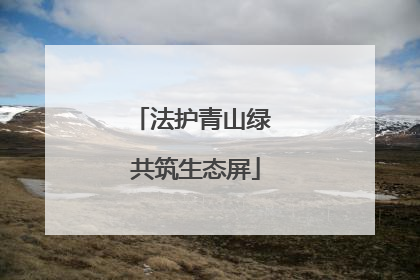 法护青山绿 共筑生态屏