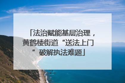 法治赋能基层治理，黄鹤楼街道“送法上门”破解执法难题
