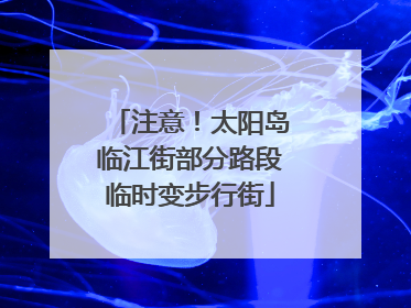 注意！太阳岛临江街部分路段临时变步行街