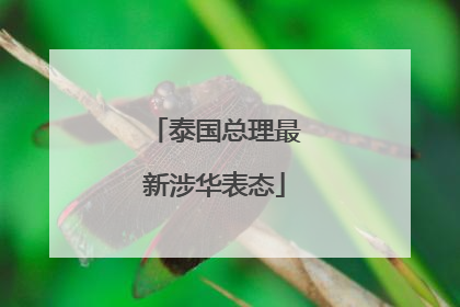 泰国总理最新涉华表态