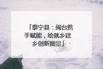 泰宁县：闽台携手赋能，绘就乡建乡创新图景