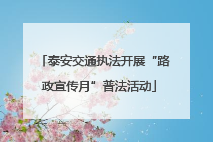 泰安交通执法开展“路政宣传月”普法活动