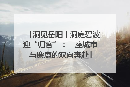 洞见岳阳丨洞庭碧波迎“归客”：一座城市与麋鹿的双向奔赴