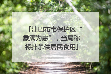 津巴布韦保护区“象满为患”，当局称将扑杀供居民食用