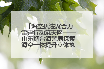 海空执法聚合力 雷霆行动筑天网——山东烟台海警局探索海空一体提升立体执法效能纪实