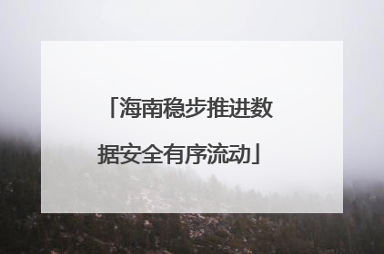 海南稳步推进数据安全有序流动