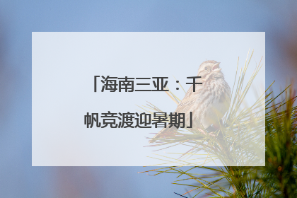 海南三亚：千帆竞渡迎暑期