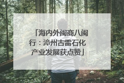 海内外闽商八闽行：漳州古雷石化产业发展获点赞