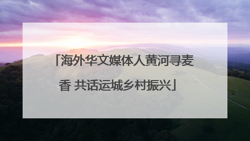 海外华文媒体人黄河寻麦香 共话运城乡村振兴