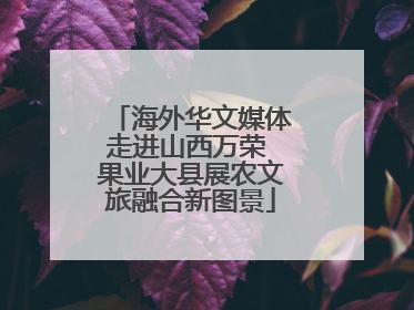 海外华文媒体走进山西万荣 果业大县展农文旅融合新图景