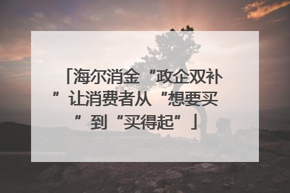 海尔消金“政企双补”让消费者从“想要买”到“买得起”