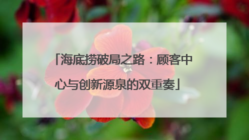 海底捞破局之路：顾客中心与创新源泉的双重奏
