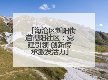海沧区新阳街道霞阳社区：党建引领 创新传承激发活力
