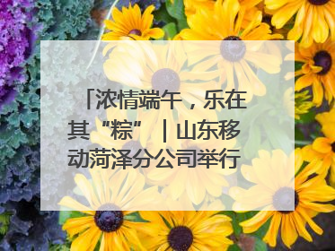 浓情端午，乐在其“粽”｜山东移动菏泽分公司举行端午节主题活动