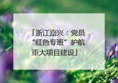 浙江嘉兴：党员“红色专班”护航重大项目建设