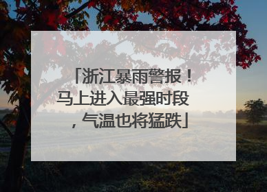 浙江暴雨警报！马上进入最强时段，气温也将猛跌
