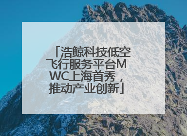 浩鲸科技低空飞行服务平台MWC上海首秀，推动产业创新
