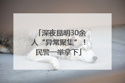 深夜昆明30余人“异常聚集”！民警一举拿下