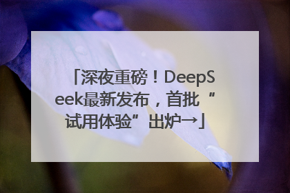 深夜重磅！DeepSeek最新发布，首批“试用体验”出炉→